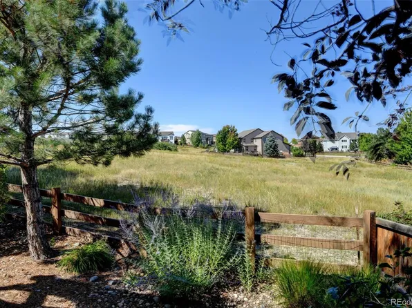 3325 Falling Star Place, Castle Rock, CO 80108