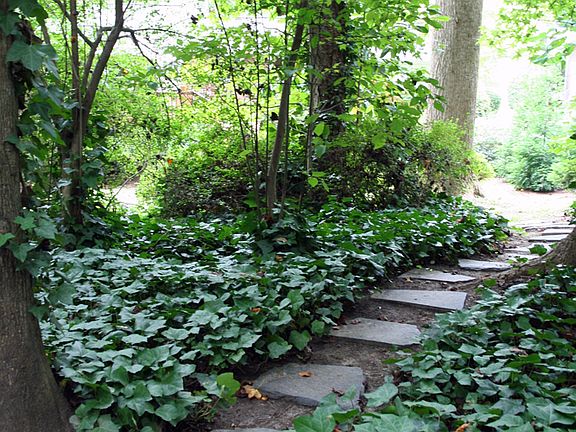 Path to Patio