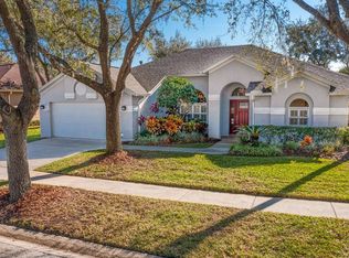 9419 Hunters Pond Dr, Tampa, FL 33647