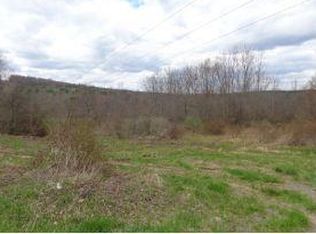 237 Monkey Run Rd, Pt Crane, NY 13833