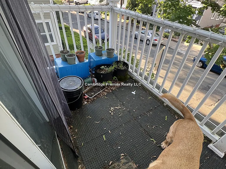 52 Raymond Ave #2 — Photo 14