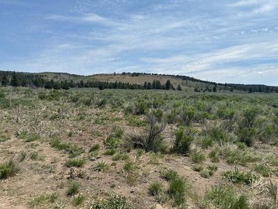 Mule Deer, Sprague River, OR, 97639