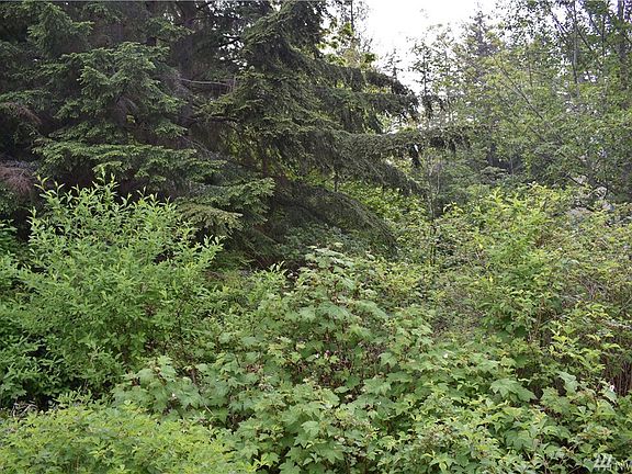 4th image of 0 Poplar Ln Lot 11