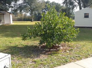 1059 Carter Rd, Deland, FL 32724