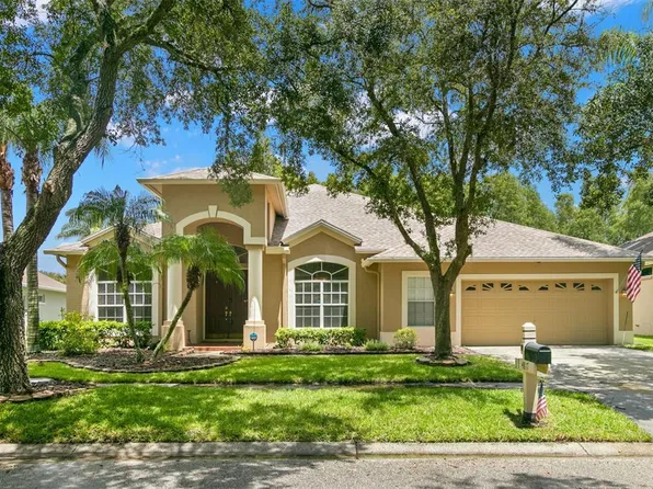 4817 Tea Rose Ct, Lutz, FL 33558