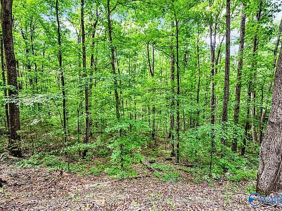 4th image of LOT 14 Mill Creek Rd