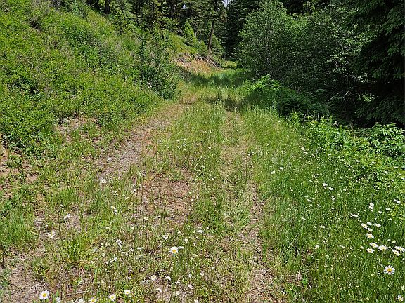 4th image of 0 Fern Creek Rd