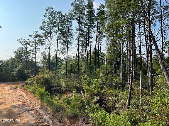 5th image of 0 Woodymarion Dr