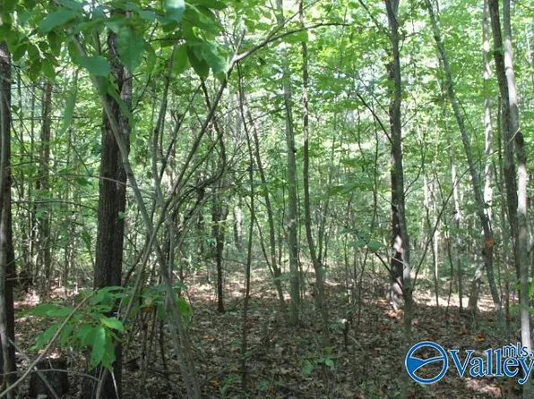 2ACRE S County Road 474, Fort Payne, AL 35967