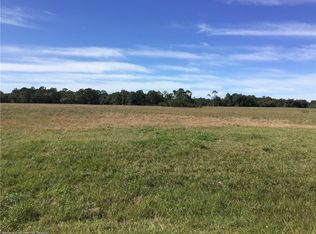 1007 Nesting View Dr, Sebring, FL 33875