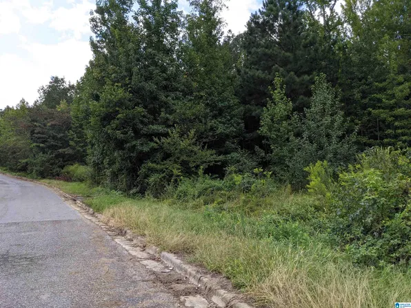 296 Forever Wild Ln #23, Oxford, AL 36203