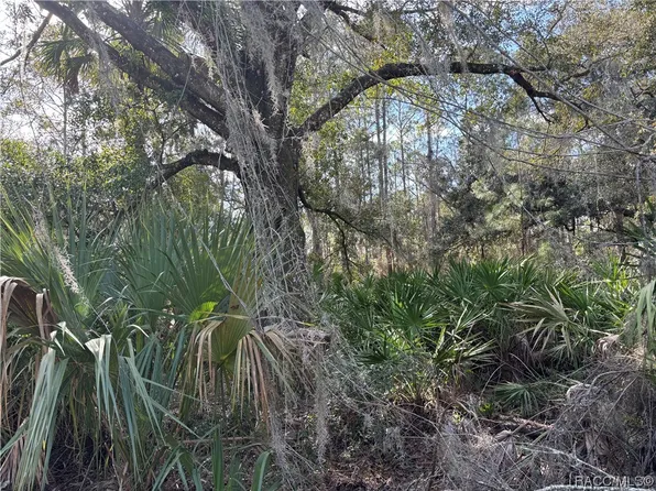 9154 N Bromeliad Ter, Crystal River, FL 34428