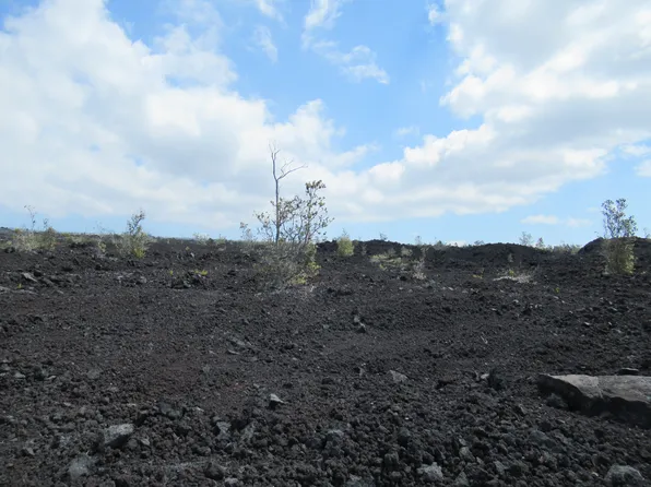 Lotus Blossom Ln Lot 11, Ocean View, HI 96737