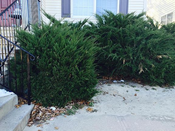 5th image of 412 Melville Ave
