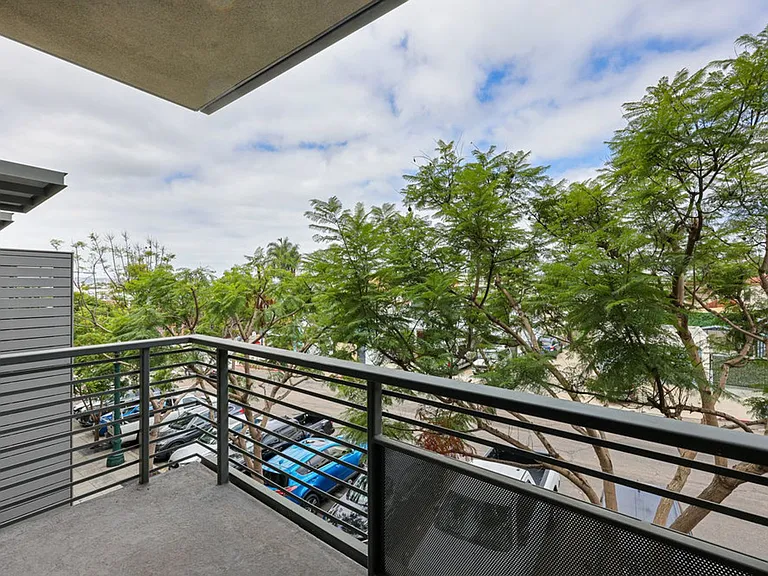 Olea — Photo 41