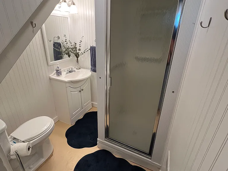 The second bathroom is small and downstairs in the basement. It has a very small, rustic, functional shower