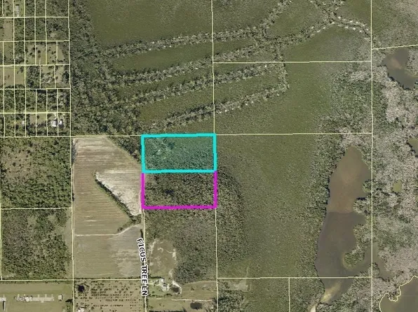 Ficus Tree Ln, Bokeelia, FL 33922
