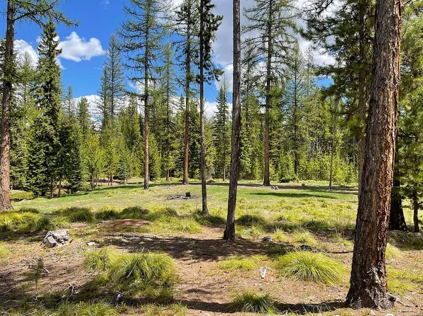 172 Doe Ct, Seeley Lake, MT 59868