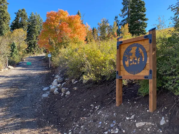 23465 Thads Peak Dr, Fairview, UT 84629