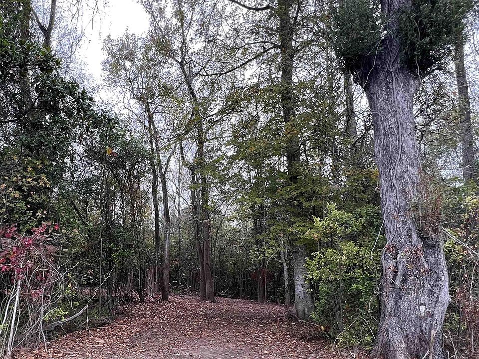 Rb 1 Us Highway Rb St LOT 611, Saint Francisville, LA 70775 MLS