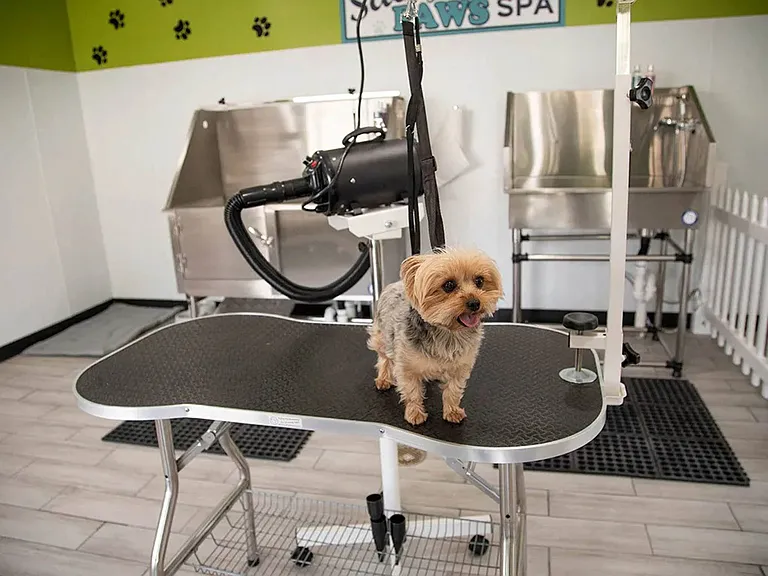 Our DIY spa offers professional equipment