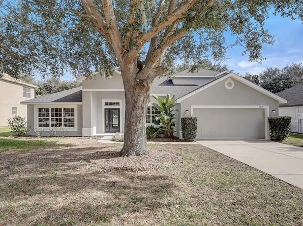 10250 Dovehill Ln, Clermont, FL 34711