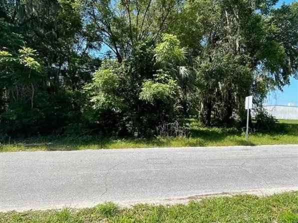 Ball Park Rd Lot 2, Umatilla, FL 32784