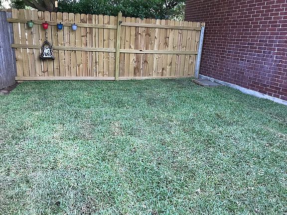 New grass - 28 Jul 18