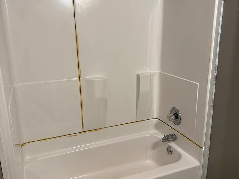 bathroom 1 alt view