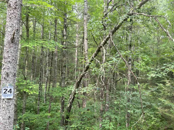 N1714 Hawks Nest Rd, Keshena, WI 54135