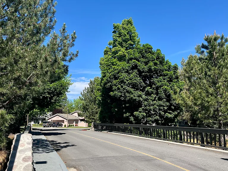 3338 Current Ct — Photo 3