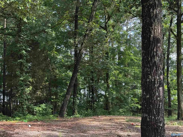 6 County Road 448, Centre, AL 35960