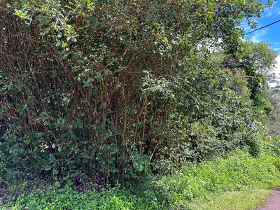 Kona St Lot 485, Pahoa, HI, 96778
