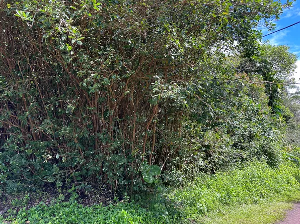 Kona St Lot 485, Pahoa, HI 96778