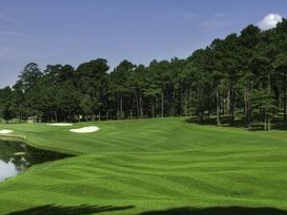 *BATTLECREEK GOLF COURSE*