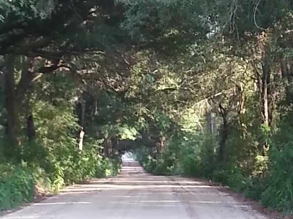 934 Hatcher Rd, Brinson, GA 39825