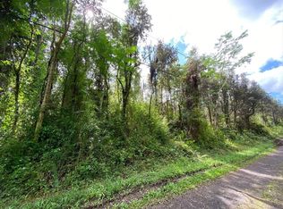 Pikake Rd LOT 43, Pahoa, HI 96778