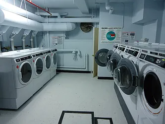 Rented by The Coop Connection LLC