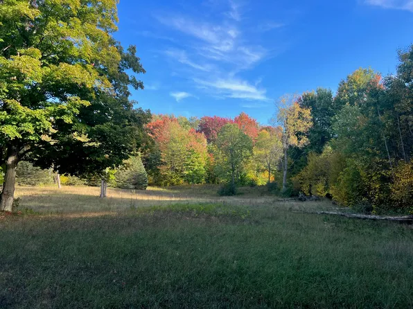 Swanson Rd, Bear Lake, MI 49614