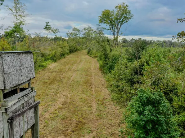Red Dog Rd, Carthage, MS 39051