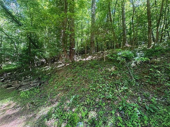 3rd image of 0 Bible Baptist Rd #11