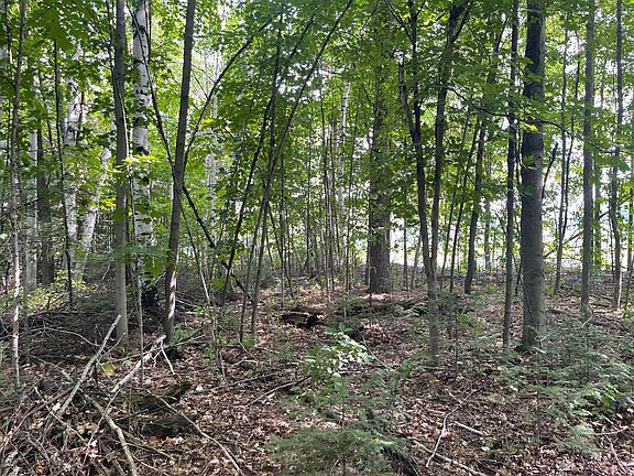 3rd image of Havenwood Dr