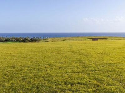 31 Hali A Mai Pl Lot 31, Koloa, HI, 96756