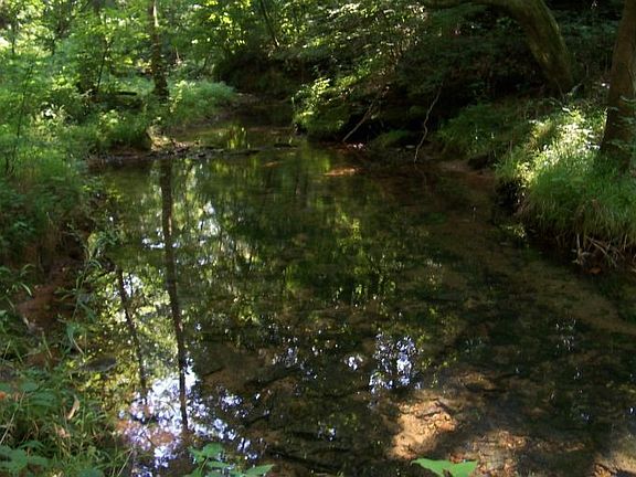 Roaring River Border