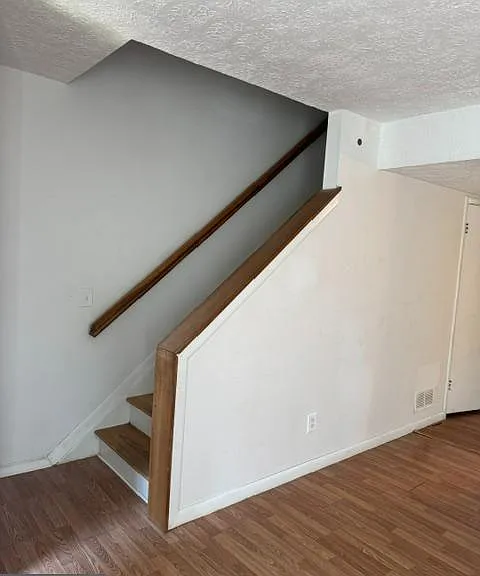 237 Cameron St — Photo 10