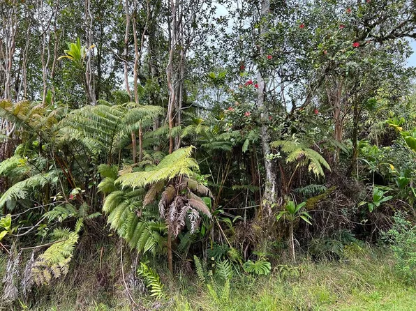 Road 1 Lot 53, Volcano, HI 96785