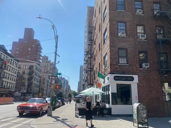 261 West 22nd Street image 6 of 17