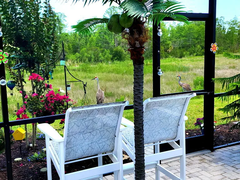 819 Coral Reef Way — Photo 19