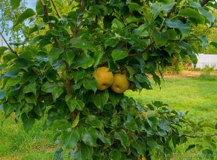 714 W Williams Ave, Sallisaw, OK 74955