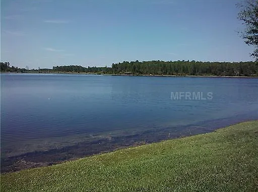 10849 Spider Lily Dr #30B — Photo 31